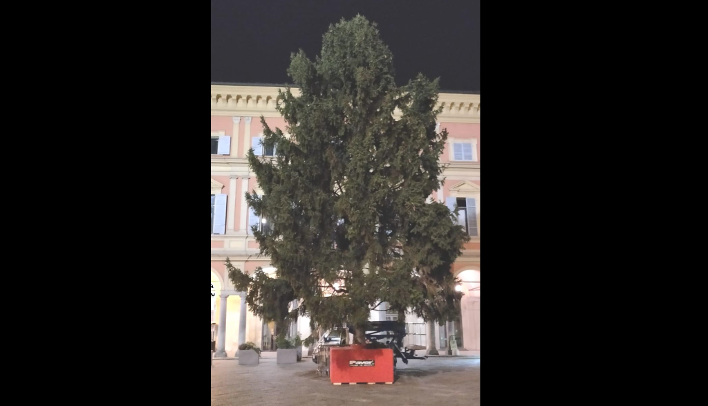 Albero di Natale in piazzetta Mercanti