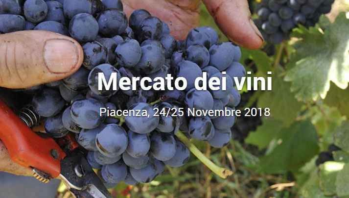 Mercato dei vini e dei vignaioli indipendenti FIVI